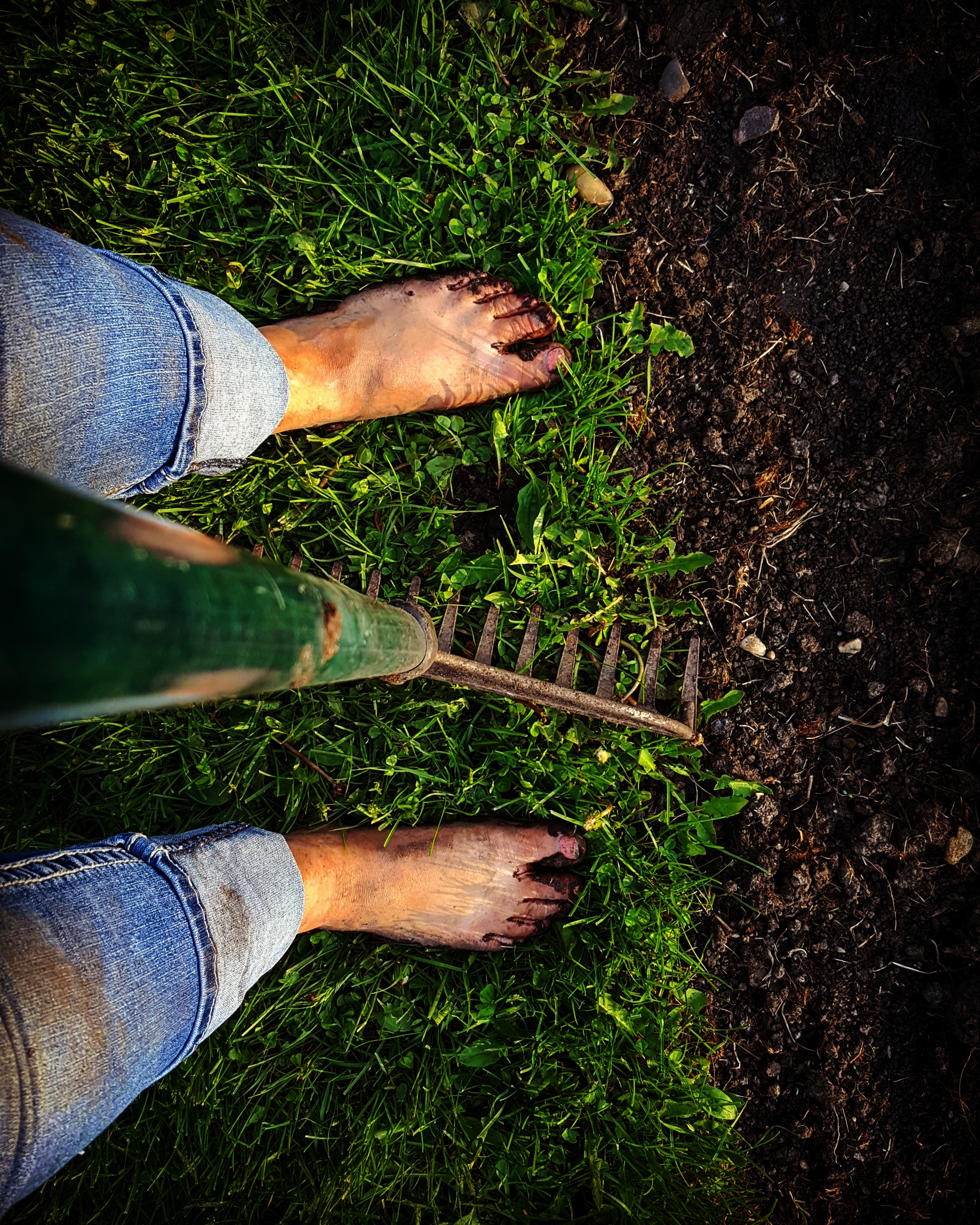 Mary, Mary Quite Contrary