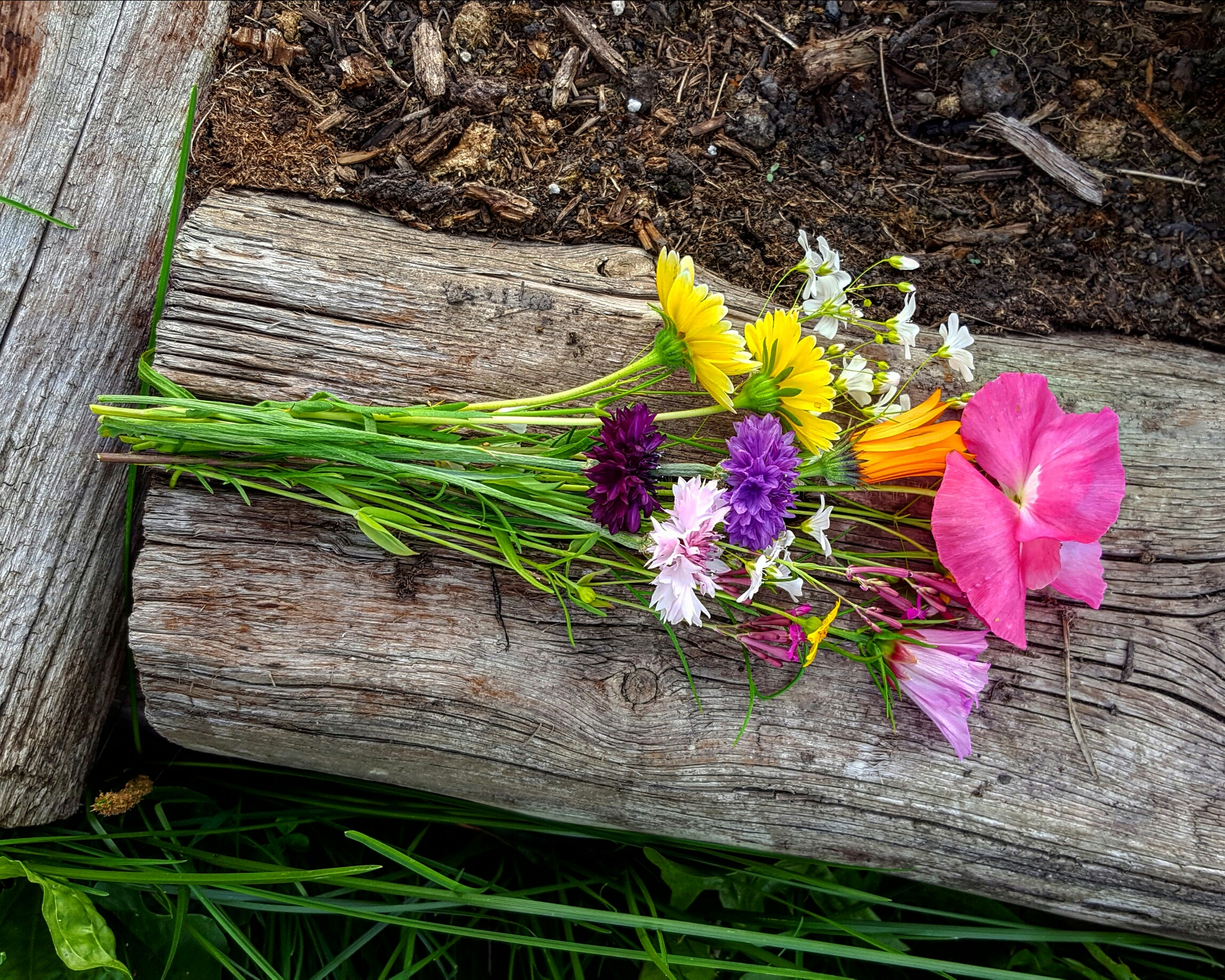 The Lessons that Country Life has Taught Me