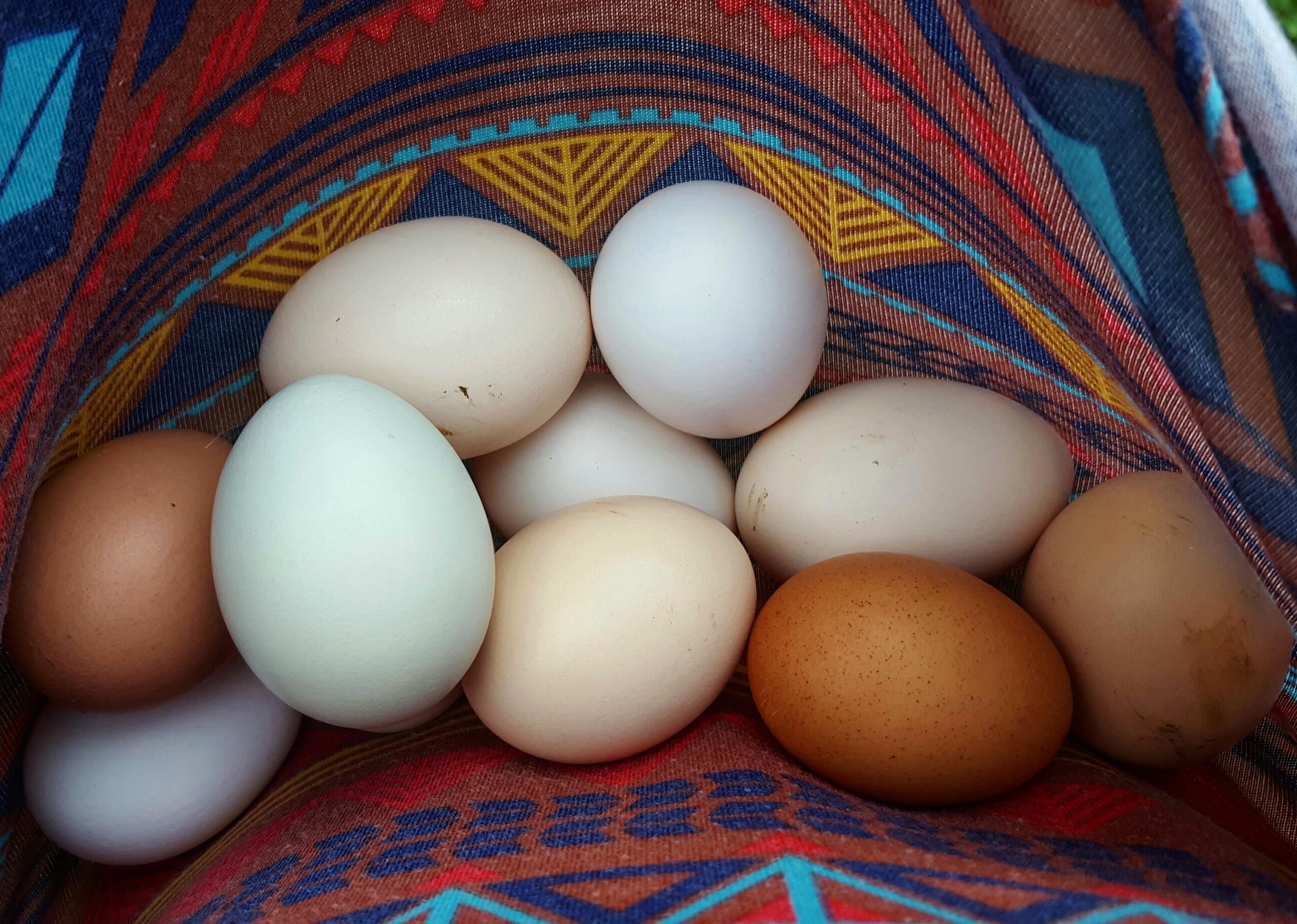 Some Old Fashioned Things like Fresh Air and Sunshine are Hard to Beat