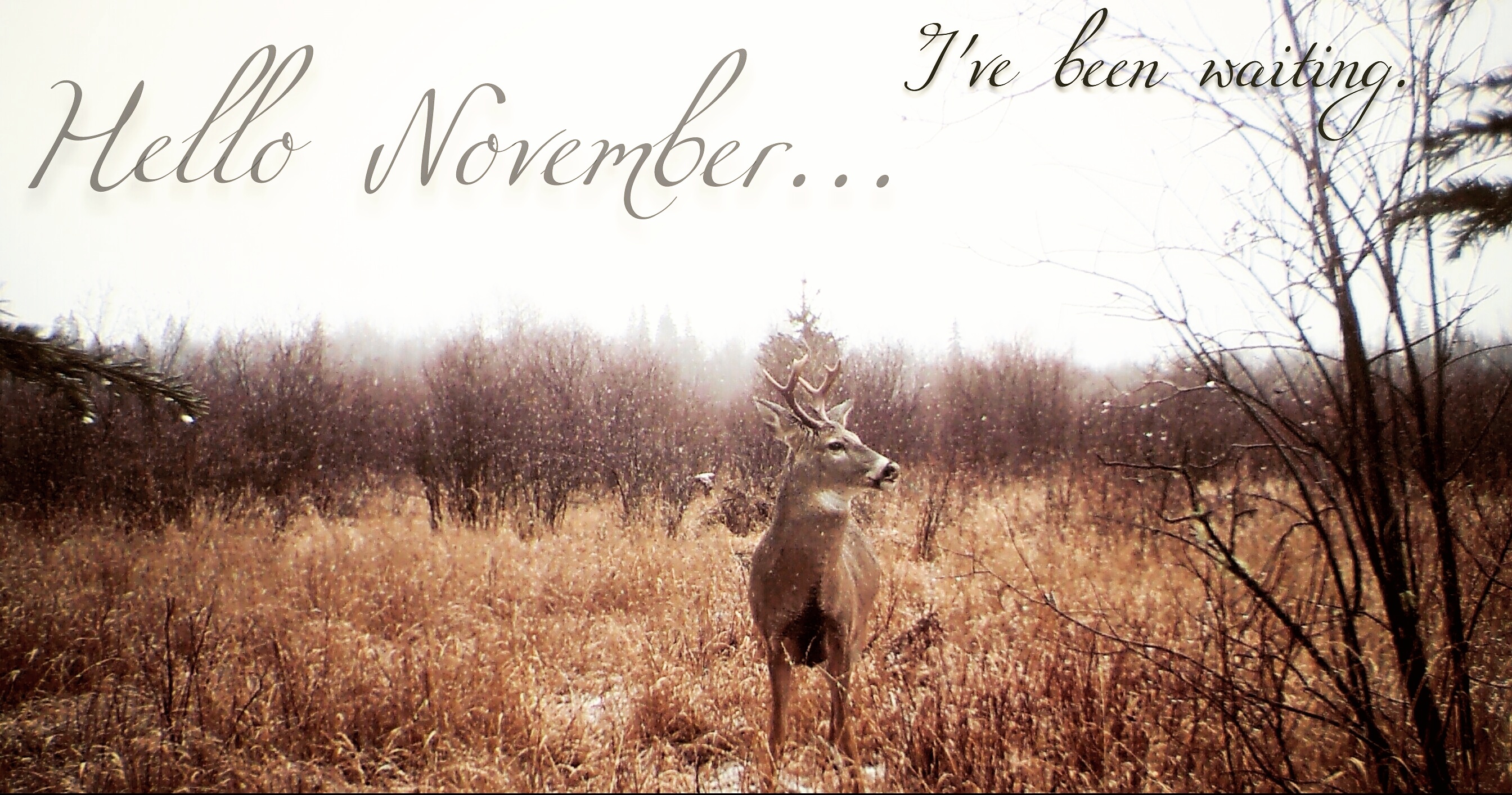 The Pearl-Grey Month