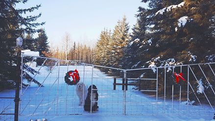 There’s No Christmas Like a Home Christmas