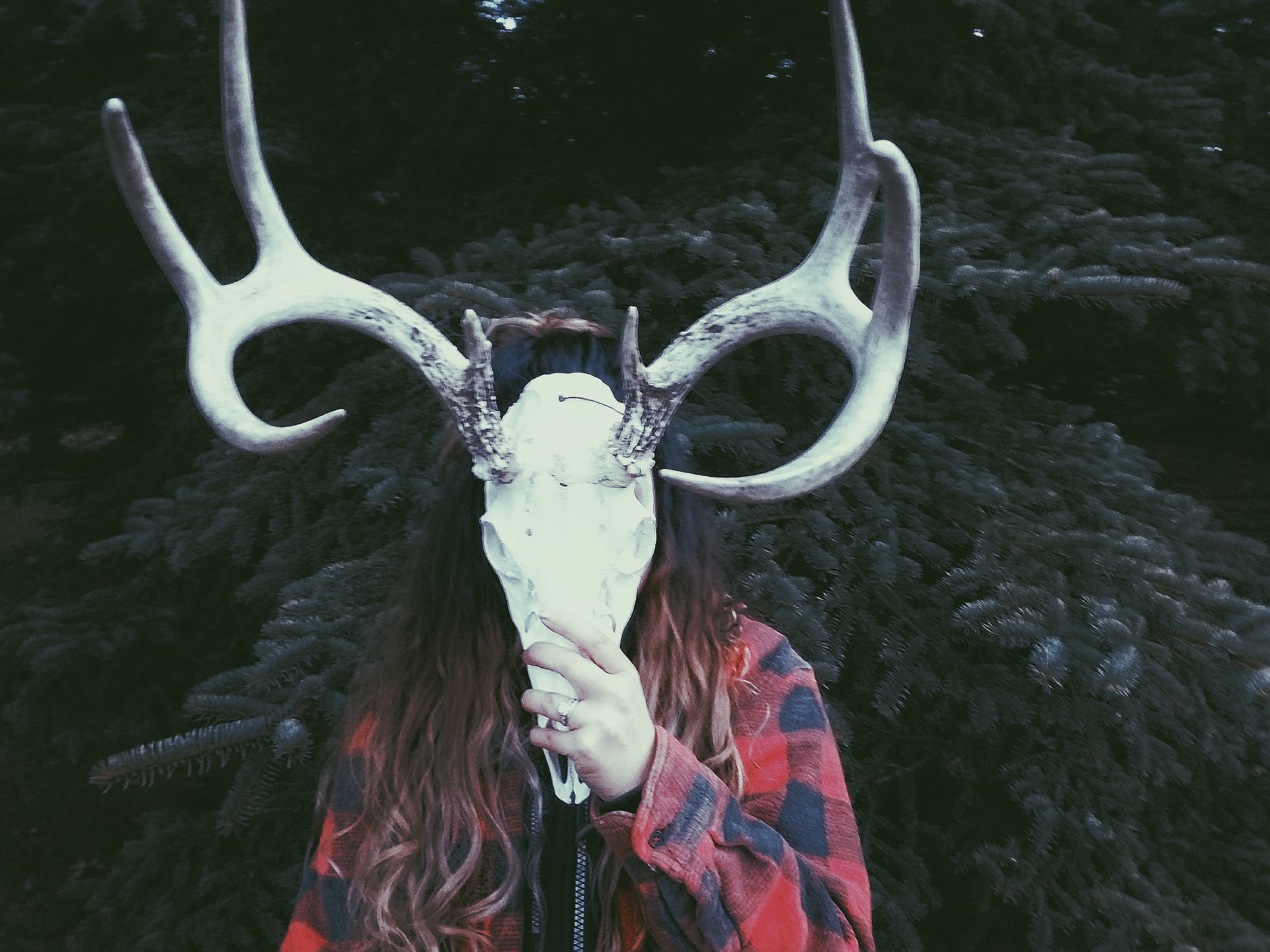 This Wild Winter Heart of Mine