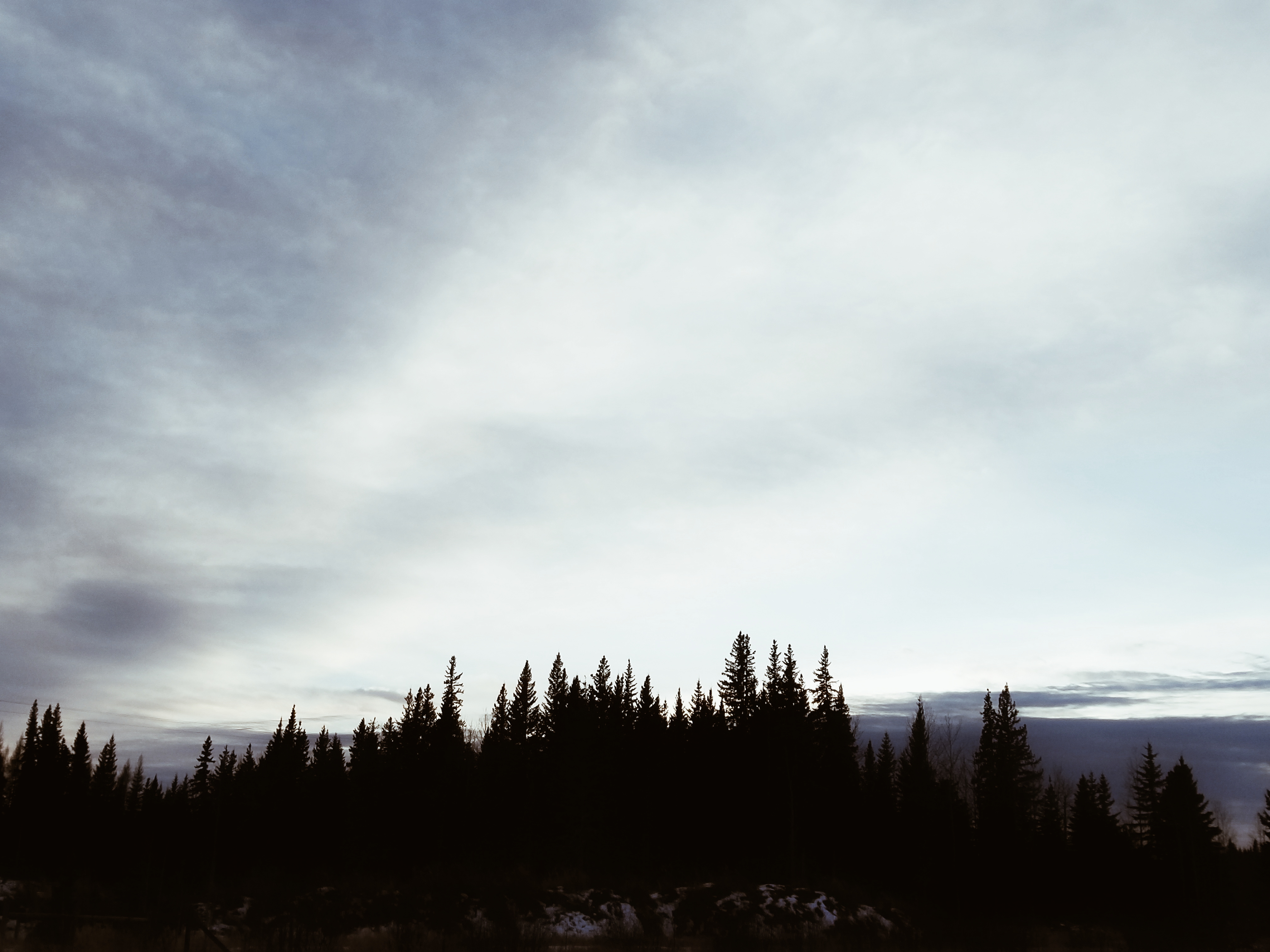 A Winter’s Reflection