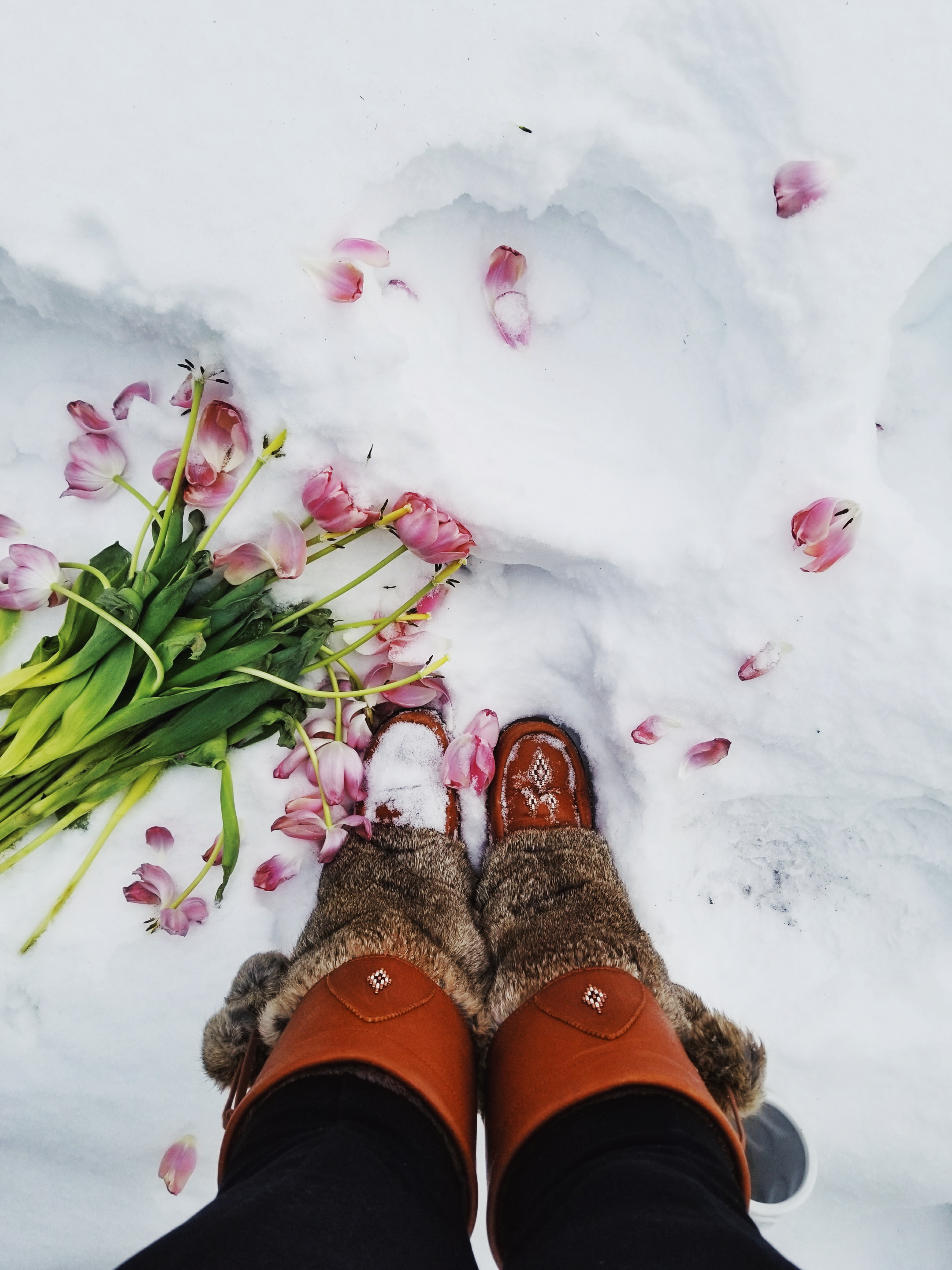 Spring Must be in the Air…Somewhere